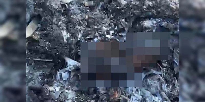 Local no Recanto das Emas onde suposto recém-nascido foi encontrado carbonizado