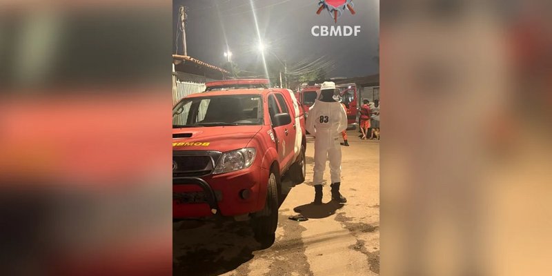 Enxame de abelhas removido de residência em Taguatinga